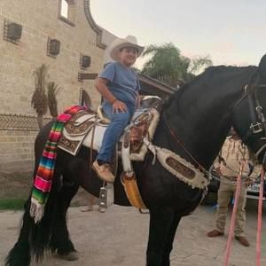 Meet your Posher, Jonathan